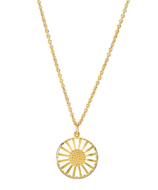 Coller Med Blomst Silhuet 20 MM